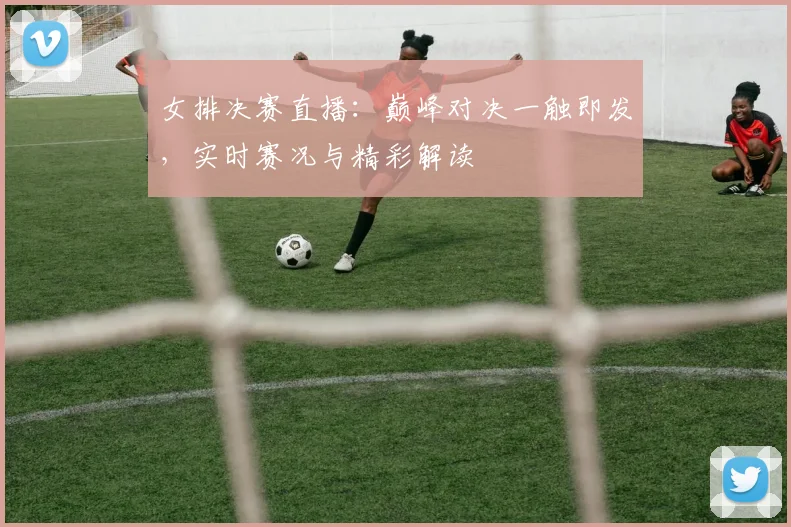 女排决赛直播：巅峰对决一触即发，实时赛况与精彩解读